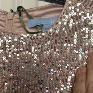 Antonio Milani size 2 Sequin Dress with Gold  Accents